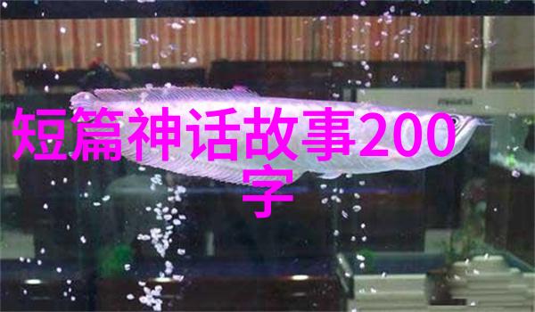 在傳統中國文化裡這些傳說對於社會秩序和道德觀念有何作用或意義呢