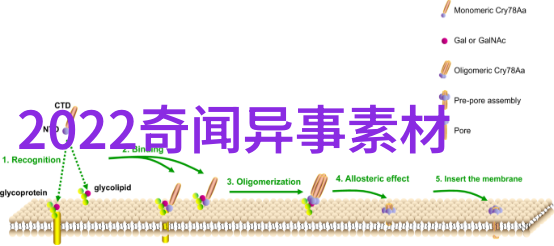 甄嬛传原著里很黄的描写-宫廷秘密揭开甄嬛传那些不为人知的艳情真相