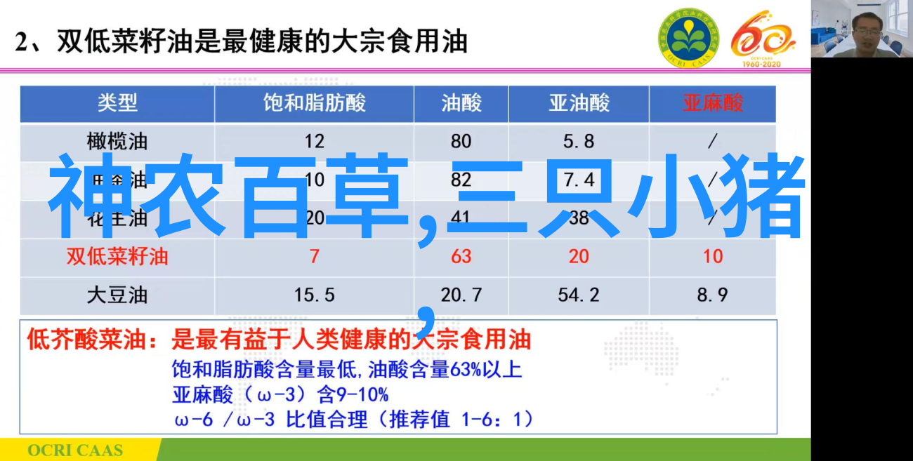 明朝历代君主排名顺序考察