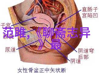 古代智者摩诃萨的星辰之谜