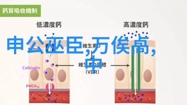 亲上边一面膜下边的电视剧揭秘背后的故事