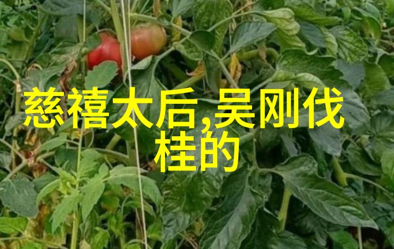 齐宣王梦游西域