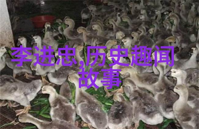 407事件到底有多血腥亲历者们的眼泪揭开那场灾难的真相