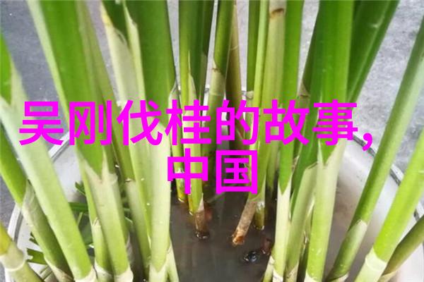 高清无水印原档全集揭秘天美传媒影业的85部电影宝藏