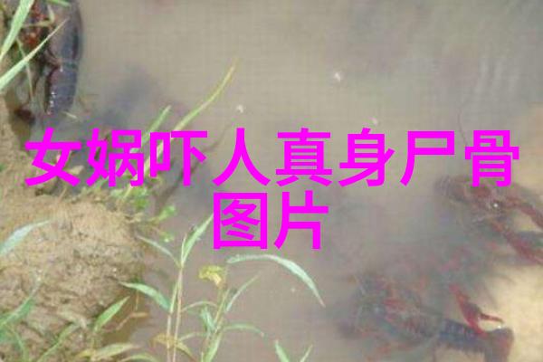 春节晚会之谜闹鬼事件背后的真相