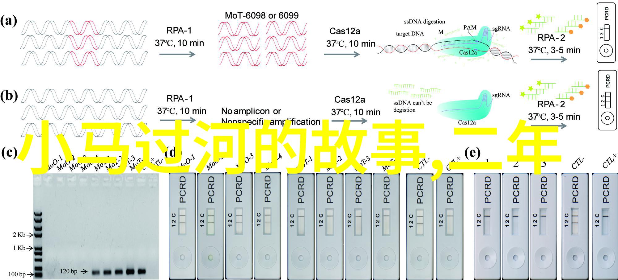 李宗瑞种子寻找李宗瑞的珍贵种子