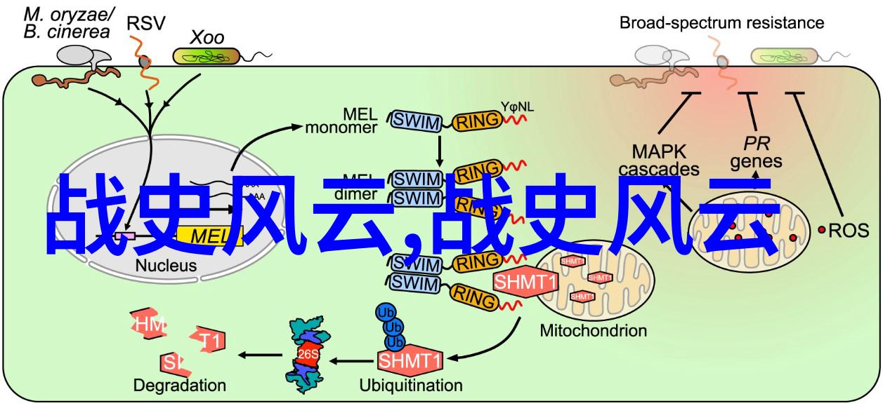 传统与现代交汇点重新审视乌兰娜家族断发风俗对当代影响