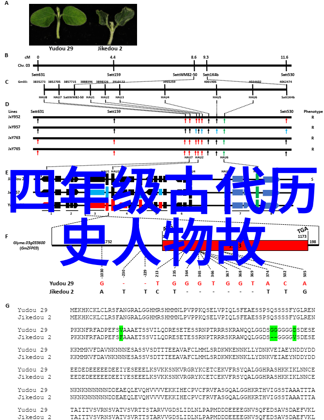 明朝那些事东林党代表人物有哪些人