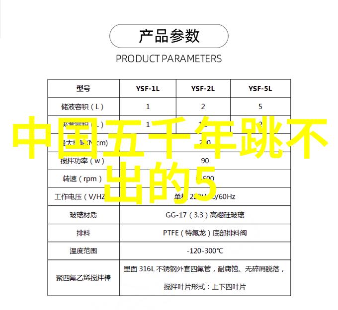 甘地的秘密揭开历史人物背后的故事