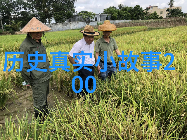 荒野之神与都市女孩的奇遇