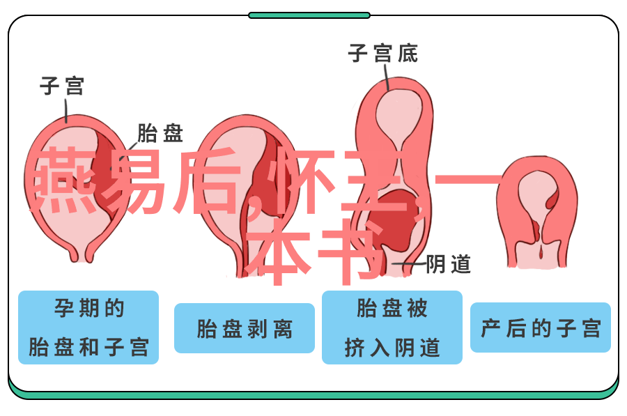 历史的奇闻趣事皇帝的隐秘游戏与宫廷的绝密术数