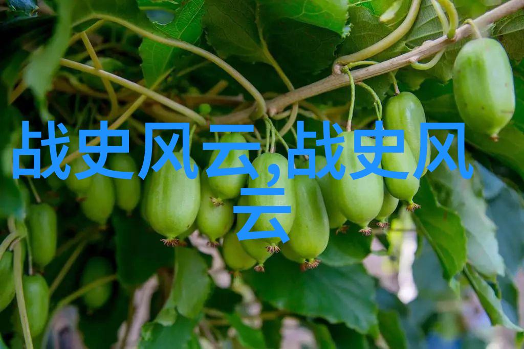 色彩与数字探索125的综合艺术