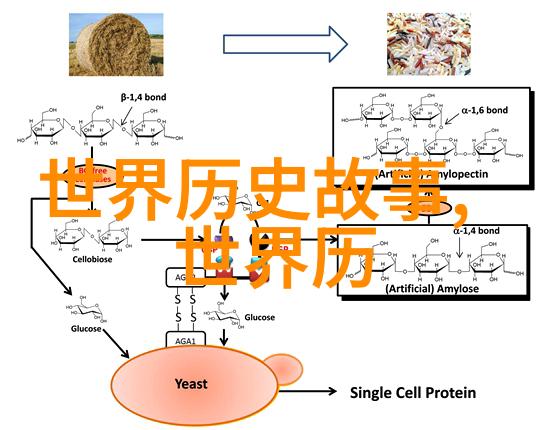 梦幻森林里的月光马戏团儿童睡前童话的奇遇